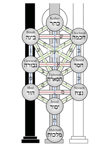 Illustration over tree of life