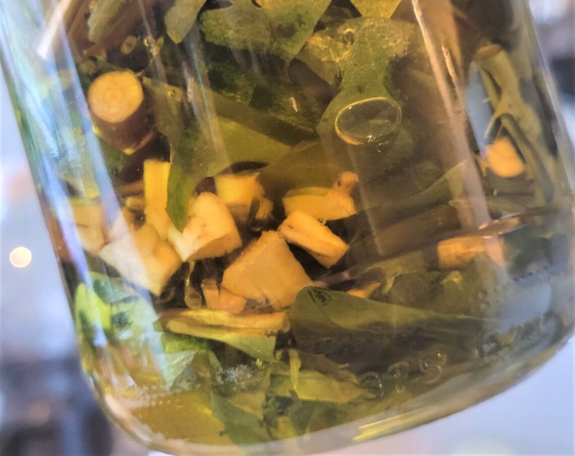 Close up af sylteglas med mælkebøtte stykker i olie