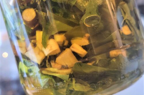 Close up af sylteglas med mælkebøtte stykker i olie