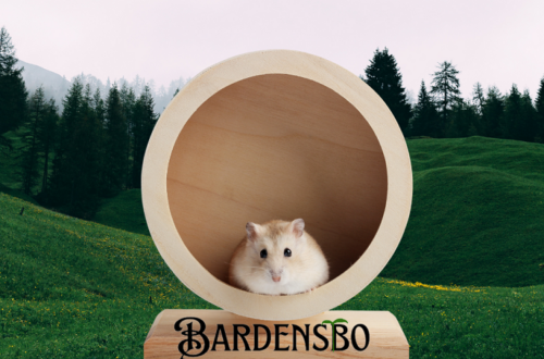 baggrund er skov landskab i front er hamsterhjul med hamster nederst bardensbo logo