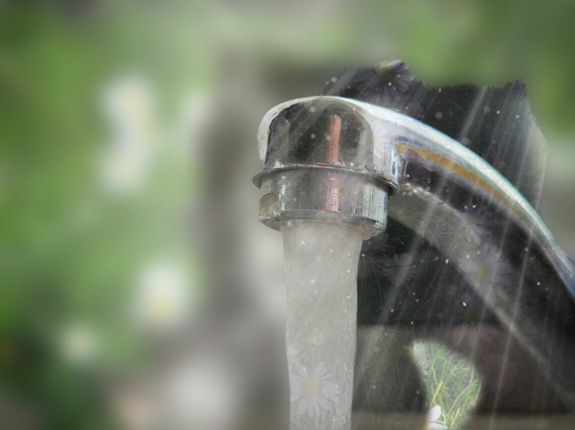 Billedcollage med løbende vandhane med blomster på græs som baggrund