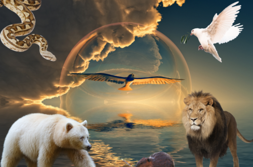 Collage over mulige spirit animals på baggrund af hav i solnedgang