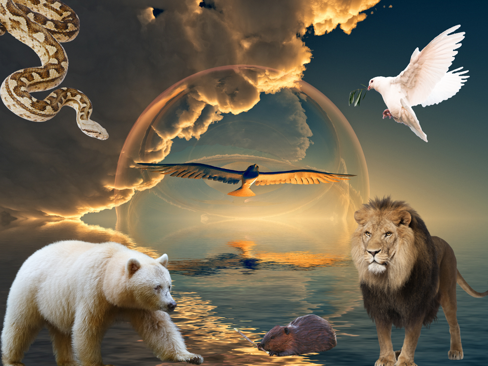 Collage over mulige spirit animals på baggrund af hav i solnedgang