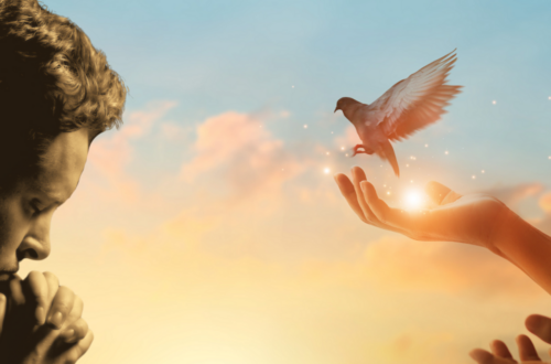 hand releasing dove on background of sunset sky with a collage of a man in prayer