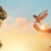 hand releasing dove on background of sunset sky with a collage of a man in prayer