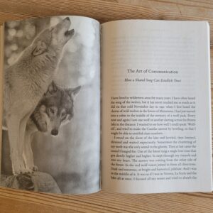 udsnit af the wisdom of wolves