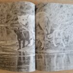 udsnit wisdom of wolves 2